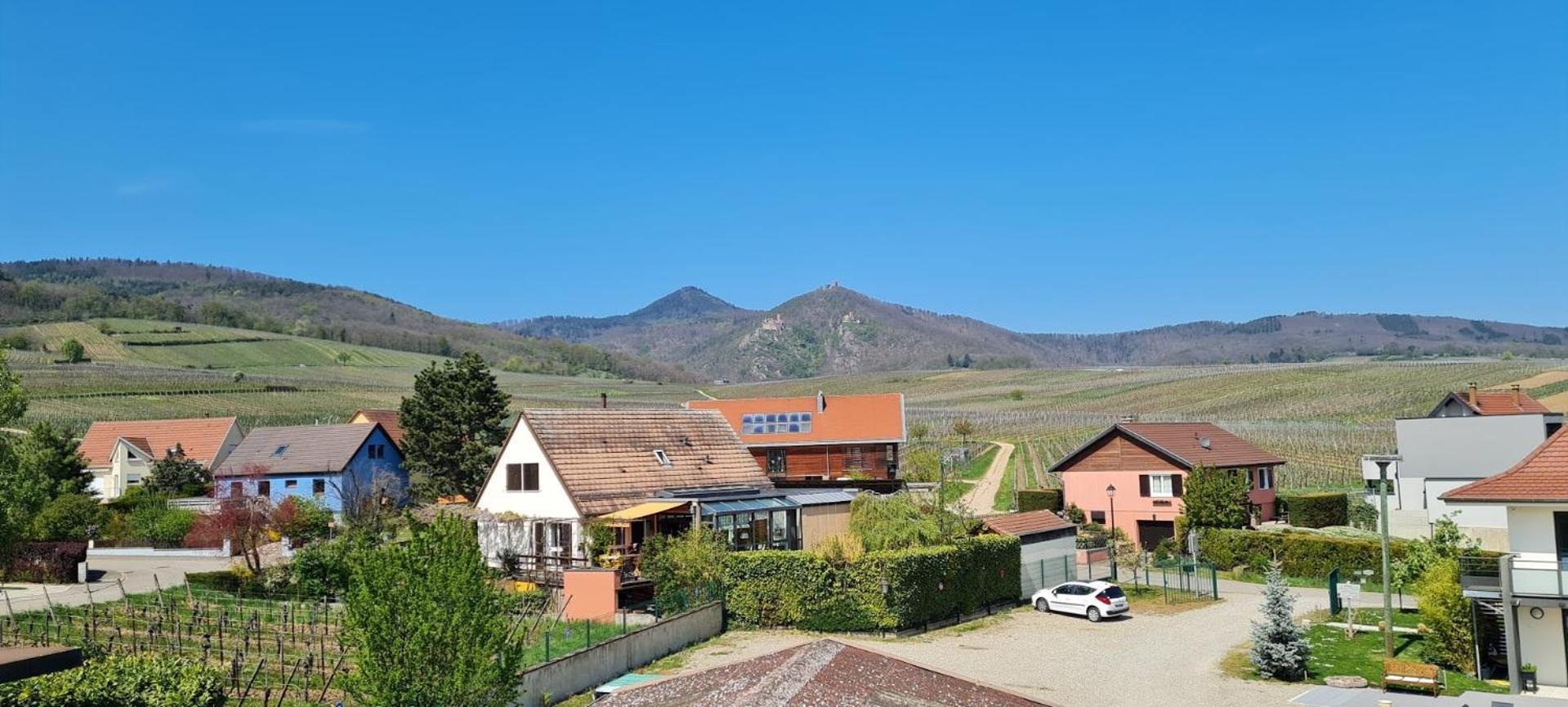 Maison D'Hotes Sainte Hune Appartements 于纳维 客房 照片